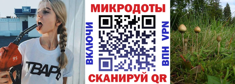 Купить закладки  Скопин  Псилоцибиновые грибы Magic Shrooms 